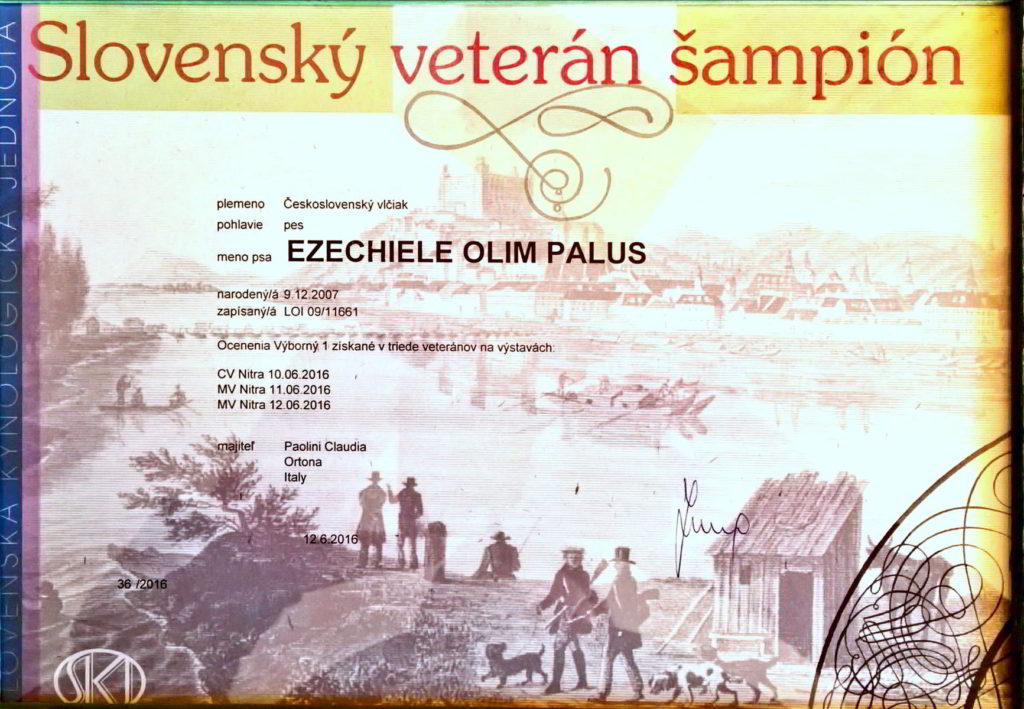 Ezechiele campione veterano slovacco