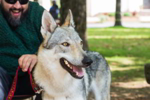 Funny Girls Ezechielelupo