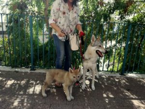 Funny Girls Ezechielelupo