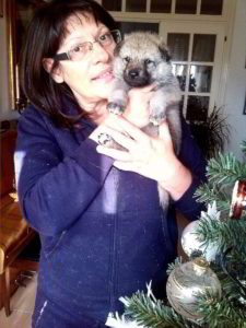 Cuccioli della cucciolata F Ezechielelupo