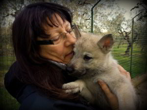 Cuccioli della cucciolata F Ezechielelupo