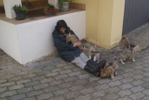 Cuccioli della cucciolata F Ezechielelupo