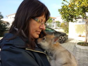 Cuccioli della cucciolata F Ezechielelupo