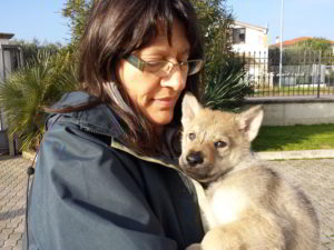 Cuccioli della cucciolata F Ezechielelupo