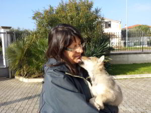 Cuccioli della cucciolata F Ezechielelupo