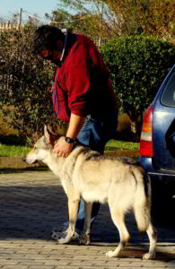 Bloody Sunday - Cash