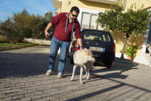 Bloody Sunday - Cash