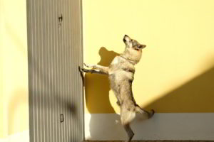 Bloody Sunday - Cash